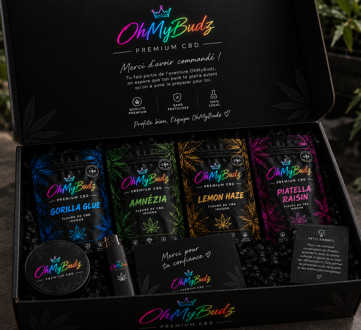Pack découverte Piatella OhMyBudz : coffret noir avec sachets de piatella pressée à froid, grinder, briquet et conseil de conservation