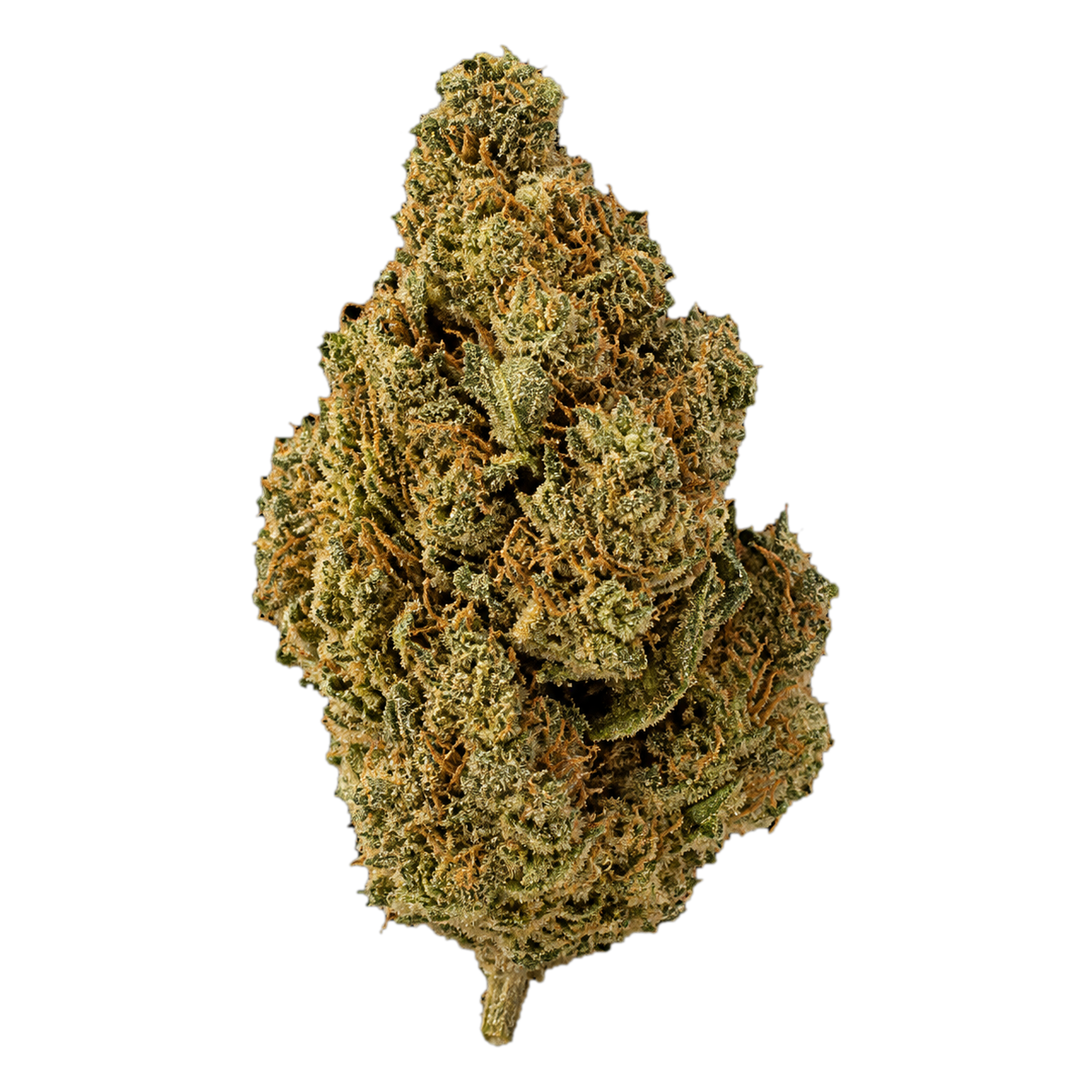 OG Kush