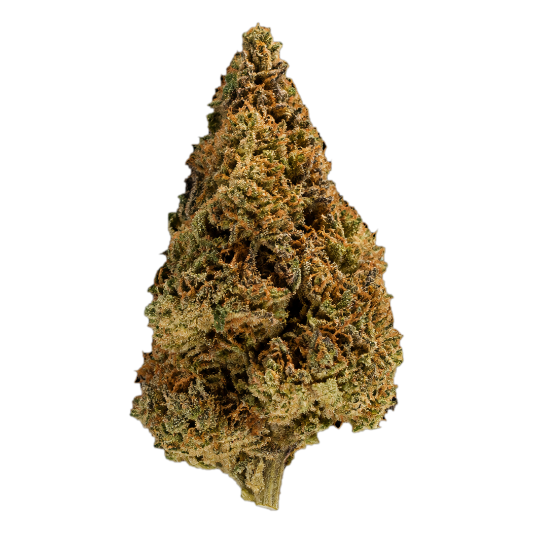 Orange Bud