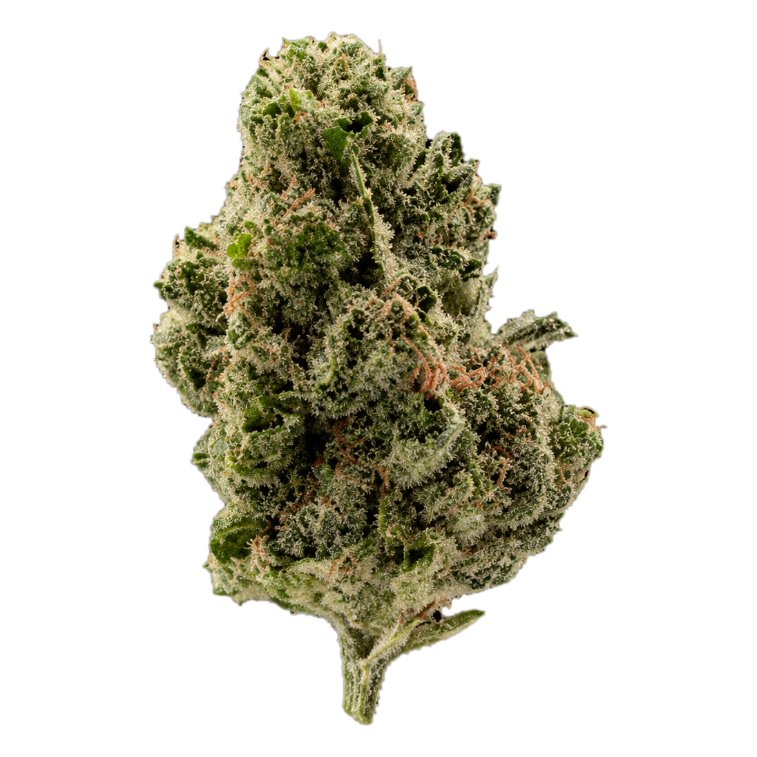 Fleur CBD White Widow